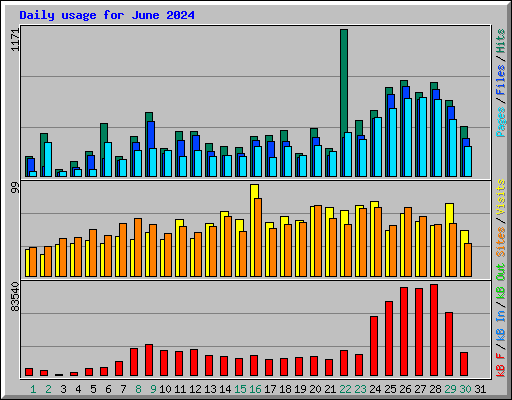 Daily usage for June 2024