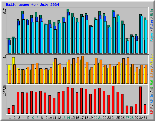 Daily usage for July 2024