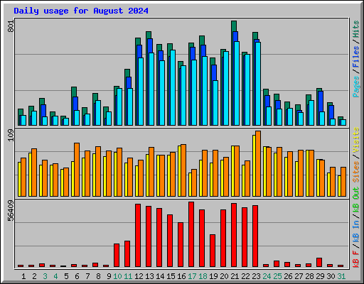 Daily usage for August 2024