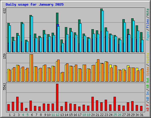 Daily usage for January 2025