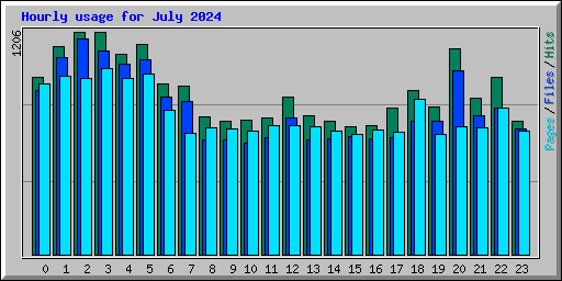 Hourly usage for July 2024