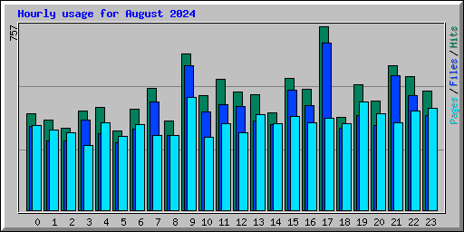 Hourly usage for August 2024