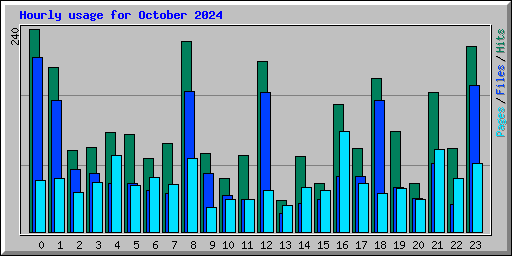 Hourly usage for October 2024