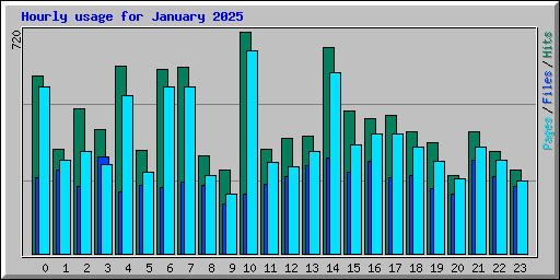 Hourly usage for January 2025