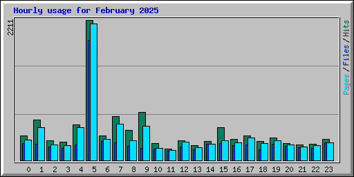 Hourly usage for February 2025