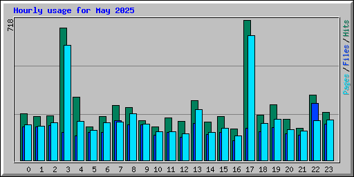 Hourly usage for May 2025