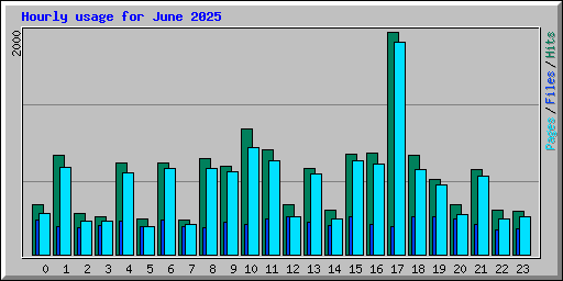 Hourly usage for June 2025