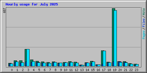 Hourly usage for July 2025