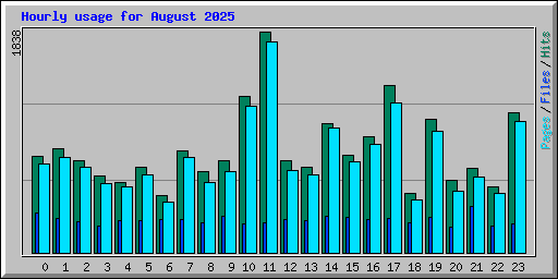 Hourly usage for August 2025