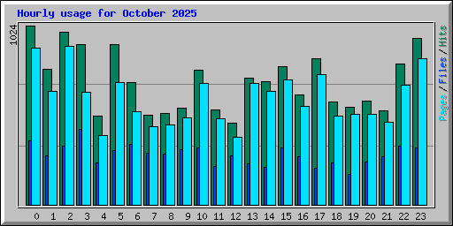 Hourly usage for October 2025