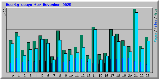 Hourly usage for November 2025