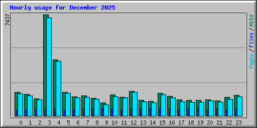 Hourly usage for December 2025