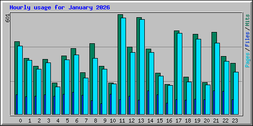 Hourly usage for January 2026