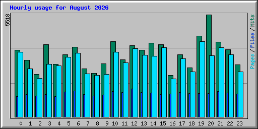 Hourly usage for August 2026