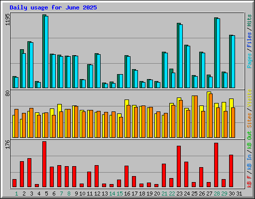 Daily usage for June 2025