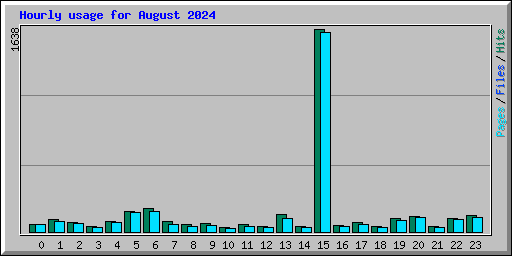 Hourly usage for August 2024