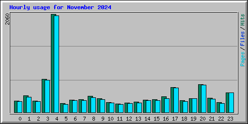 Hourly usage for November 2024