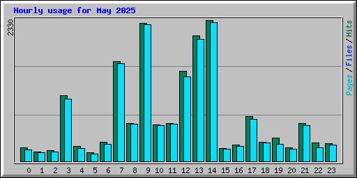 Hourly usage for May 2025