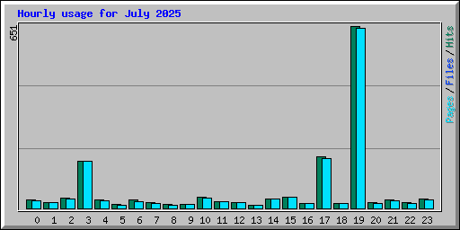 Hourly usage for July 2025