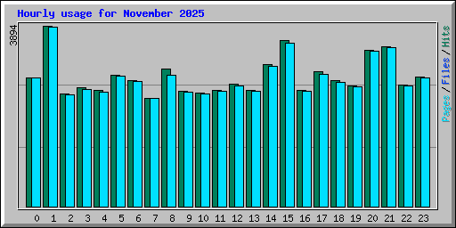 Hourly usage for November 2025