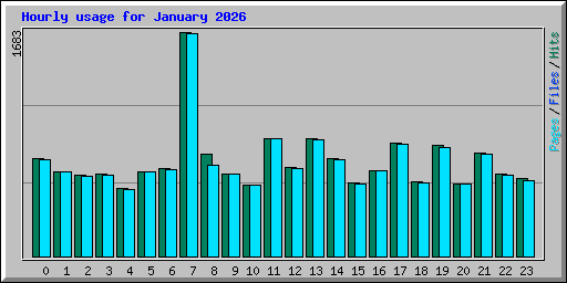 Hourly usage for January 2026